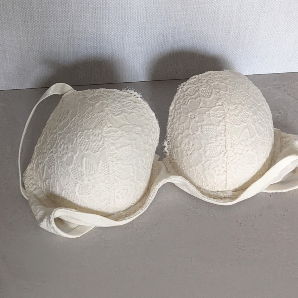 Aerie Plunge White Bra